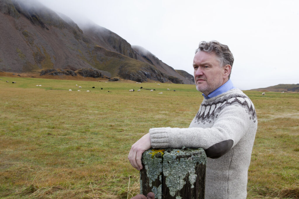 Fagurt fé í Nesjahverfi - Sveitarfélagið Hornafjörður